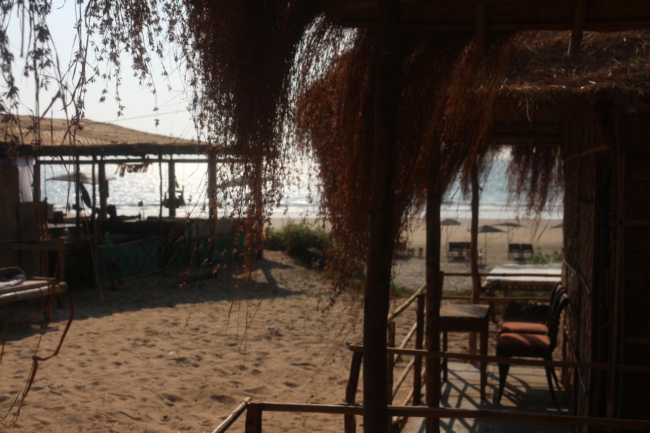 Huts On Arambol Beach エクステリア 写真